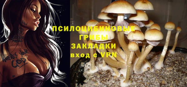 каннабис Медногорск
